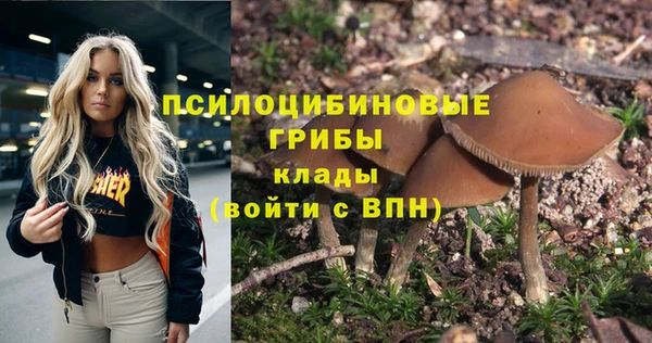 крисы Алзамай